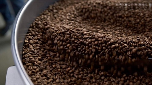 インド コーヒー